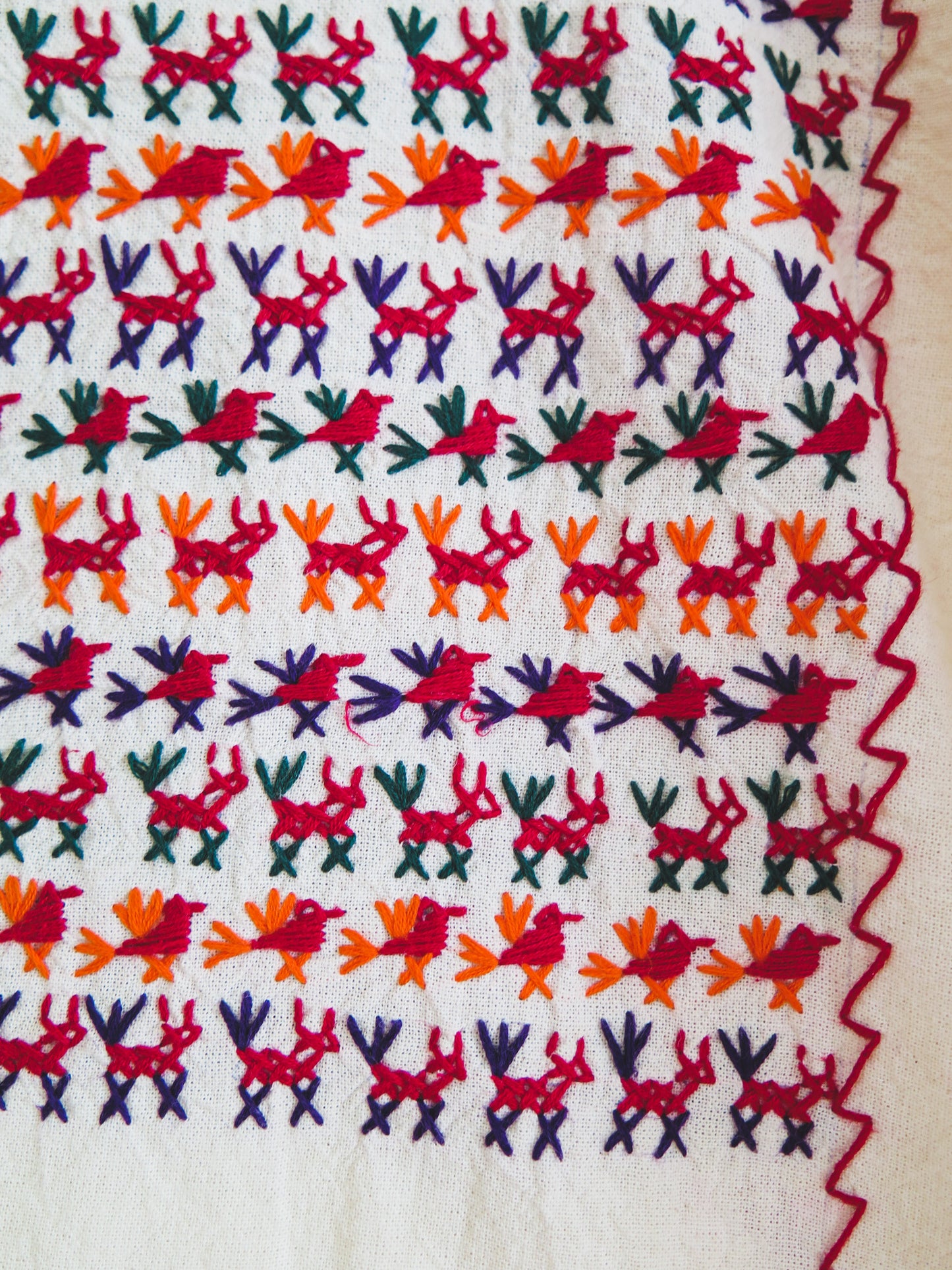 Tacuate Bird Huipil Dress and Skirt